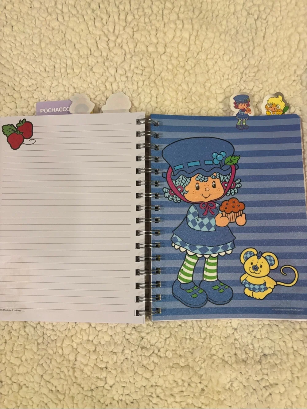 Hello Kitty/ Strawberry Shortcake notebooks